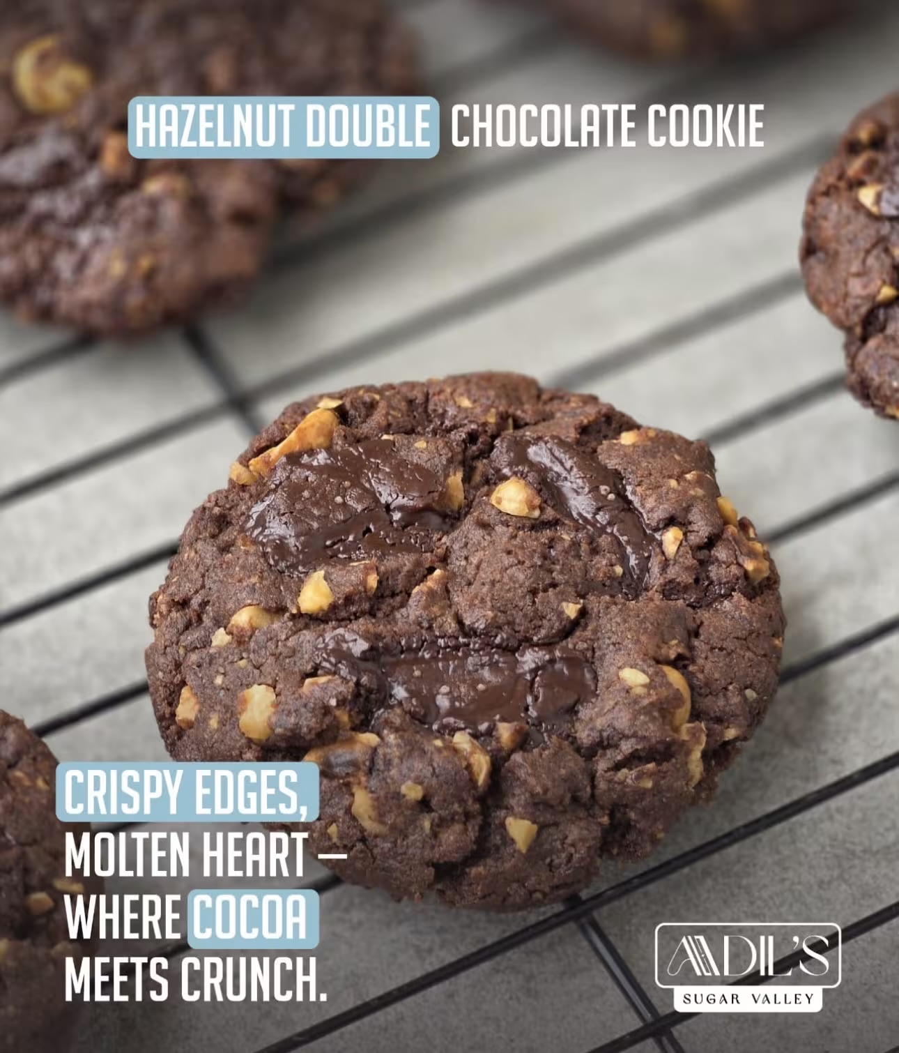 Hazelnut double chocolate cookie's image